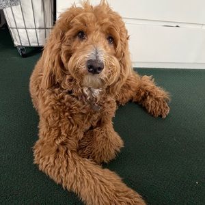 Meet your Posher, Fernanda